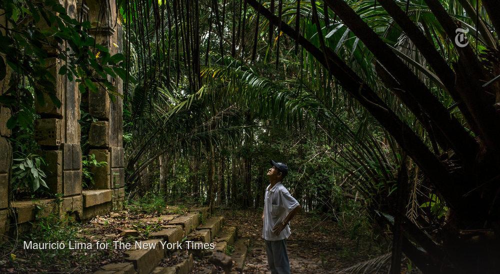 городские джунгли. каменные джунгли. древние храмы индии в джунглях.