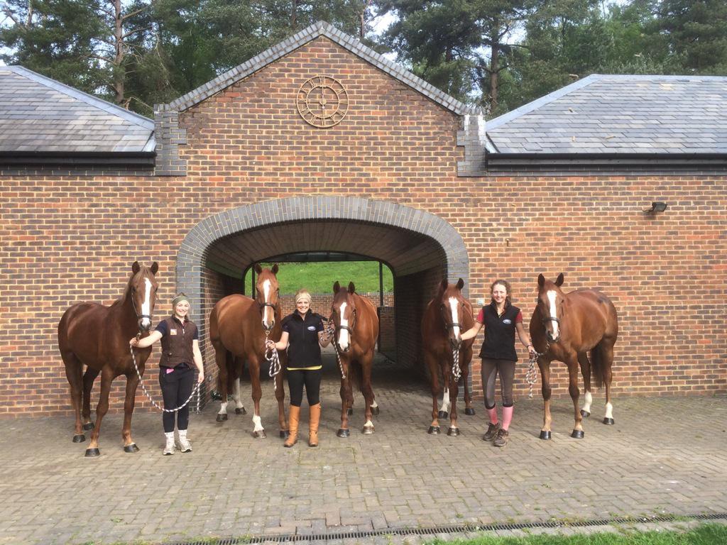 GTeventing's tweet photo. Check out our Chilli Dynasty!!! So cool! Do you think he stamps his stock?!! #ginger http://t.co/aXzsbswmIZ