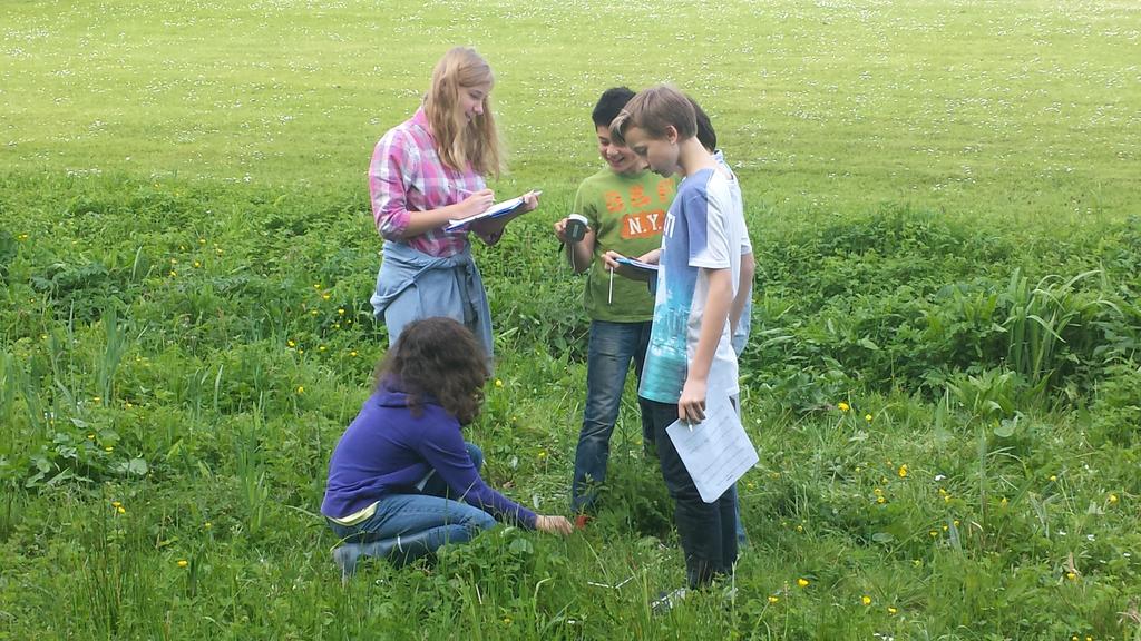 BSB_Sci's tweet photo. Great day with year 8 at Meise Botanical Gardens #Ecology http://t.co/GpMN19oeAi