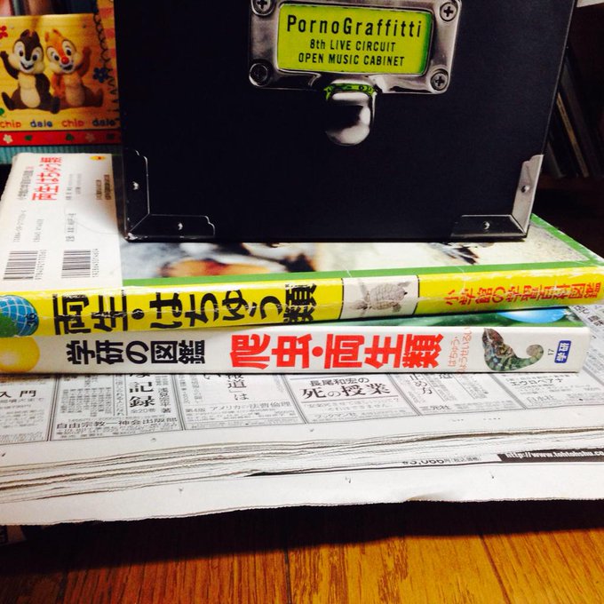 押し花の簡単な作り方大公開 アイロンを使った作り方や保存方法など紹介 ハンドメイド Sumica スミカ 毎日が素敵になるアイデアが見つかる オトナの女性ライフスタイル情報サイト