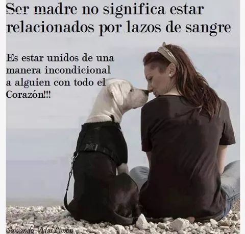 MG_HOGARES's tweet photo. "Ser madre no significa estar relacionados por lazos de sangre. Es estar unidos de una manera incondicional... http://t.co/K8W6aflGbw