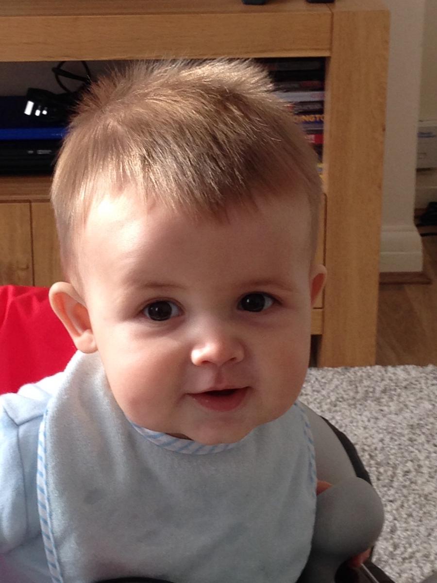 WezreedReed's tweet photo. Brodys first haircut !#lookingboss http://t.co/q7HcJbfux7