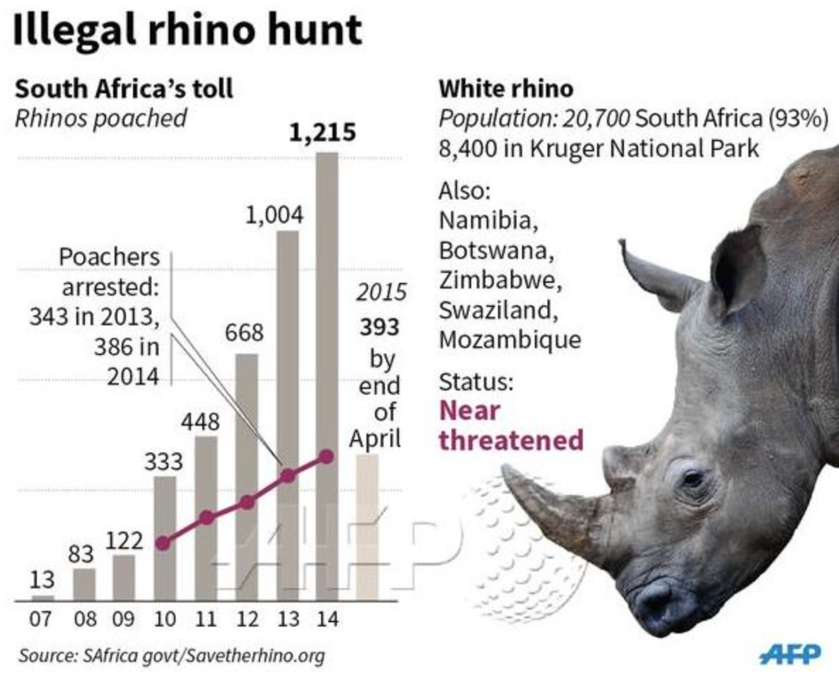 _AnimalAdvocate's tweet photo. 18 #Rhino killed this weekend. #Poaching hits record level http://t.co/Y6ja7D7iQj via @CITES @rickygervais @UN @Oscap http://t.co/UlBQYJZHtM