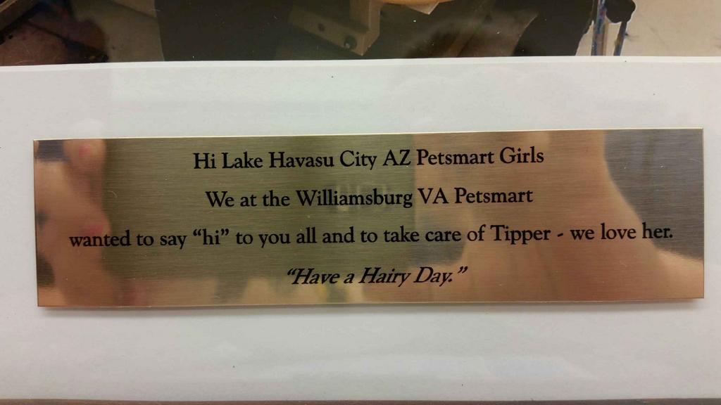 PetSmart1902Havasu tweet media
