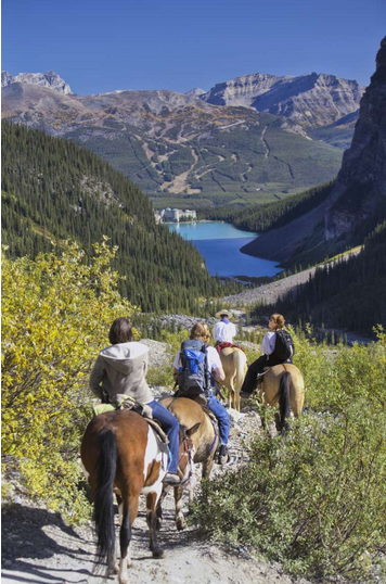 @blltmedia tweet media