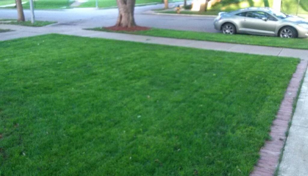 HeinenLandscape's tweet image. You may remember this Brookside home from last fall! After verticut, seed &amp;amp; rain...it's a beauty now! #sameview #lawn