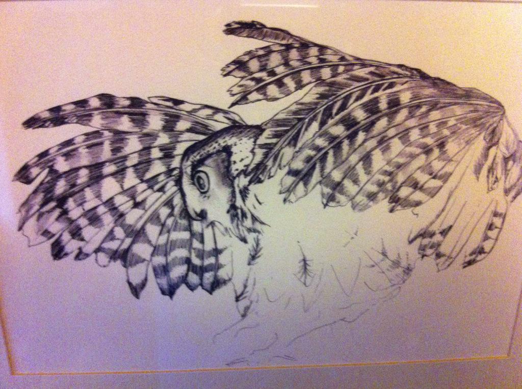 DonnellyWriter's tweet image. A wee bird told me someone had a VERY good day @ninadogmetchi :) see her @EnglishPretty Before she flies away..!