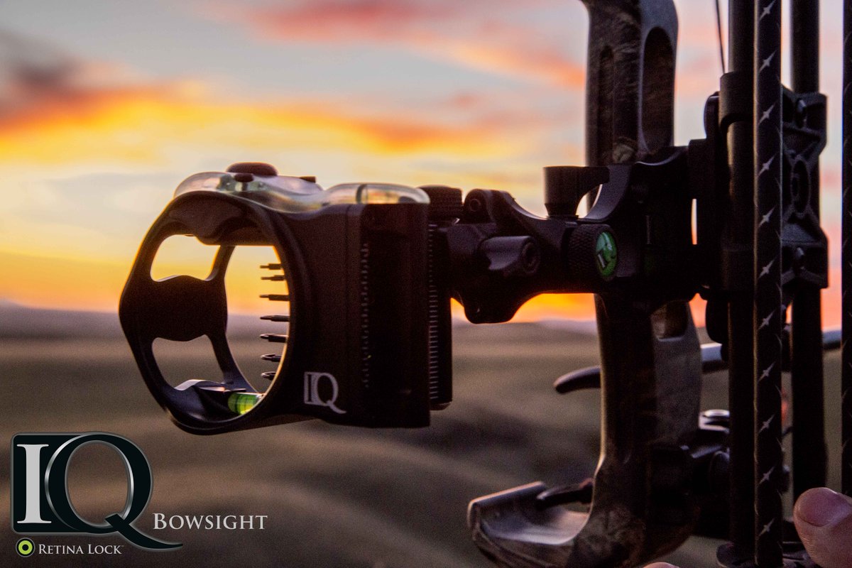 IQ Bowsights tweet media