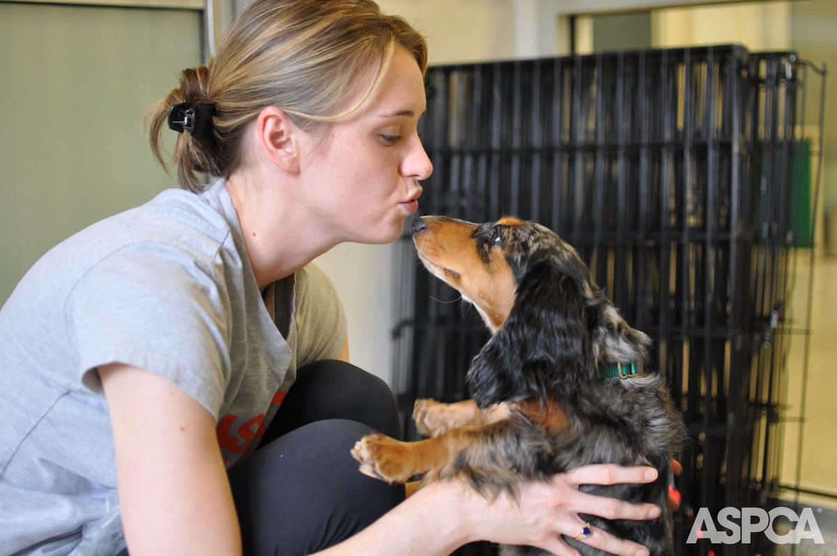 ASPCA's tweet photo. Consider fostering a shelter pet during National #FosterCareMonth! http://t.co/Ul3QZzbLwf http://t.co/HAPn38Qeun