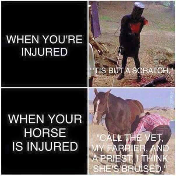 ShanaLester's tweet photo. This couldn't be more accurate 😂😂 http://t.co/kTWGL4ch1o