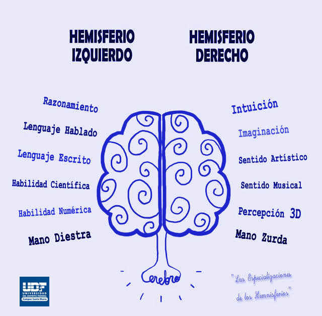 UDFsantamaria's tweet photo. ¡Excelente regreso a clases!
#ComunidadUDF #FelizLunes http://t.co/5ODgLVvDMK