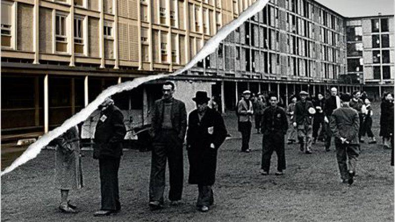 "Un très beau docu utile et d'un grand intérêt pédagogique", @aVoiraLirecine sur #LaCitéMuette, au ciné mercredi