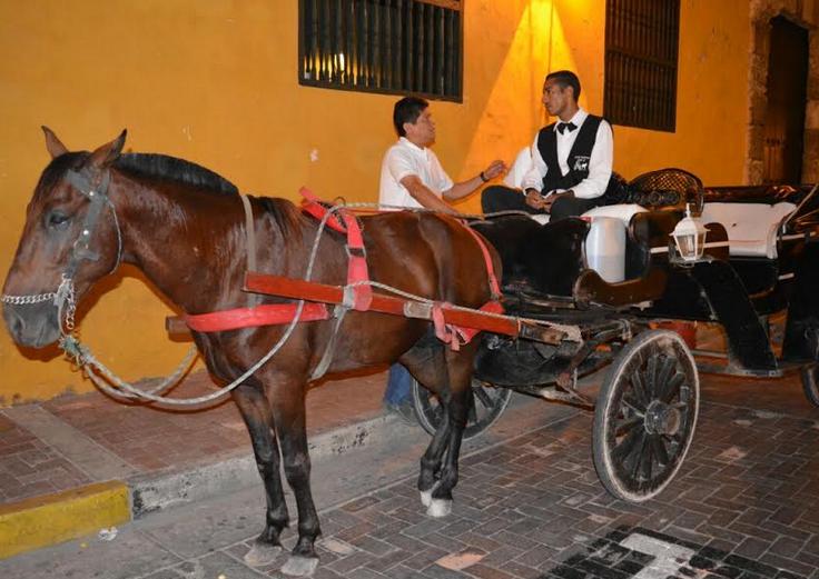 lafm's tweet photo. Cocheros podrían seguir trabajando en Cartagena pero si garantizan salud de los caballos http://t.co/ObHL9sF77M http://t.co/ubywc7J9Wu