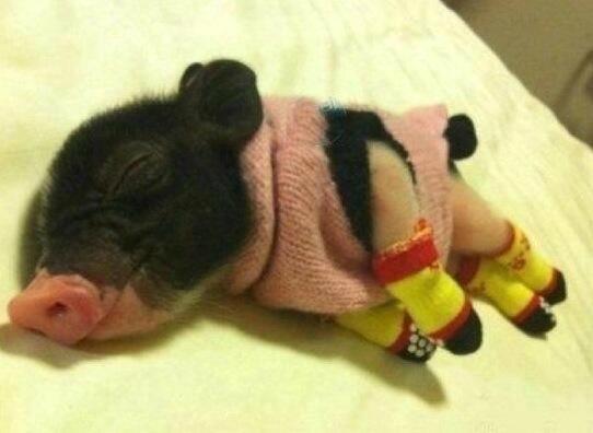 _Paisajes_'s tweet photo. Yo quiero uno de estos !!! http://t.co/aZM5v19xRu