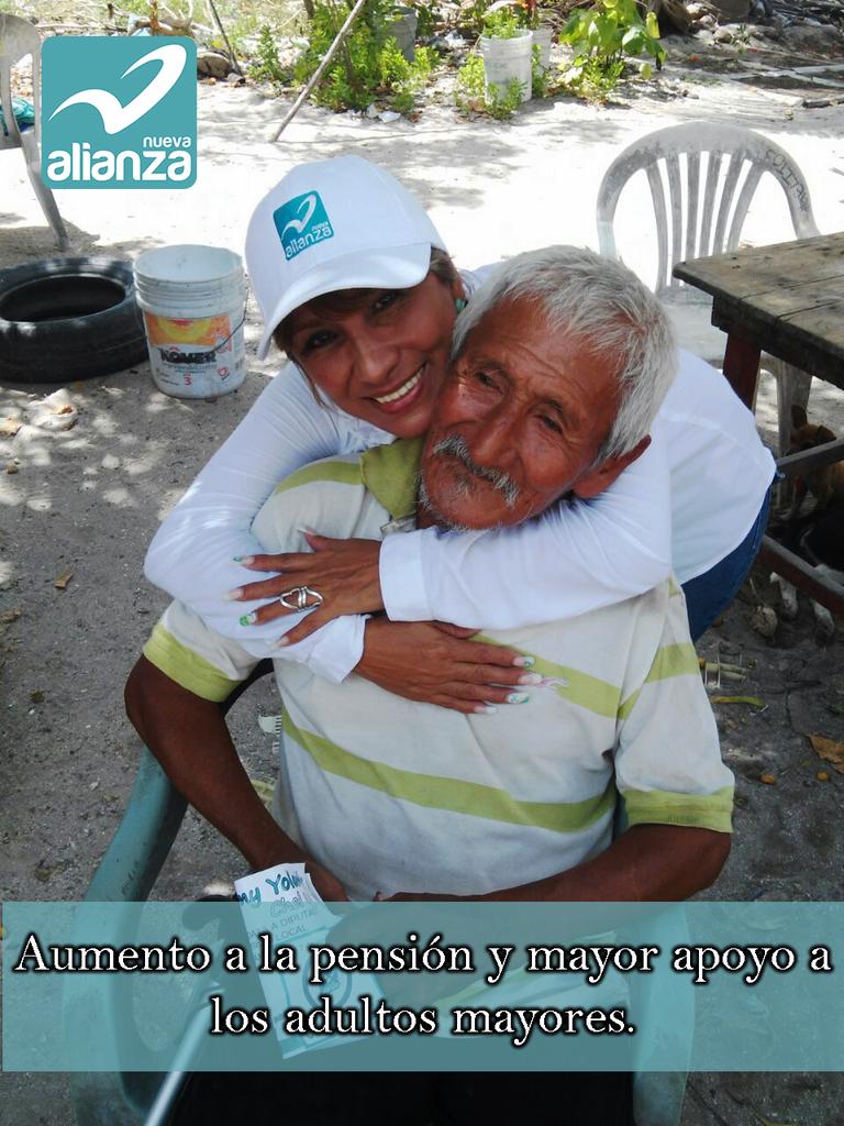 Únete al voto de los valientes Vota por <a href="/NuevaAlianza/">Nueva Alianza Tepeapulco Oficial</a> Noemy Chel VIII distrito por Yucatán