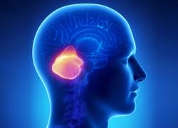 CanerOrgUa's tweet image. Медуллобластома - злокачественная врождённая  опухоль мозга
cancer.org.ua/neurooncology/…
#новости #онкология #cancer