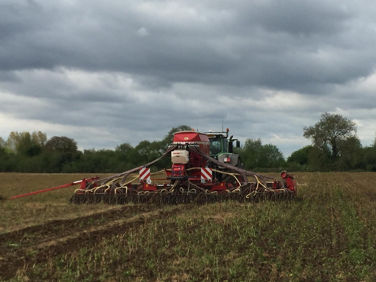 Fen Peas Ltd tweet media