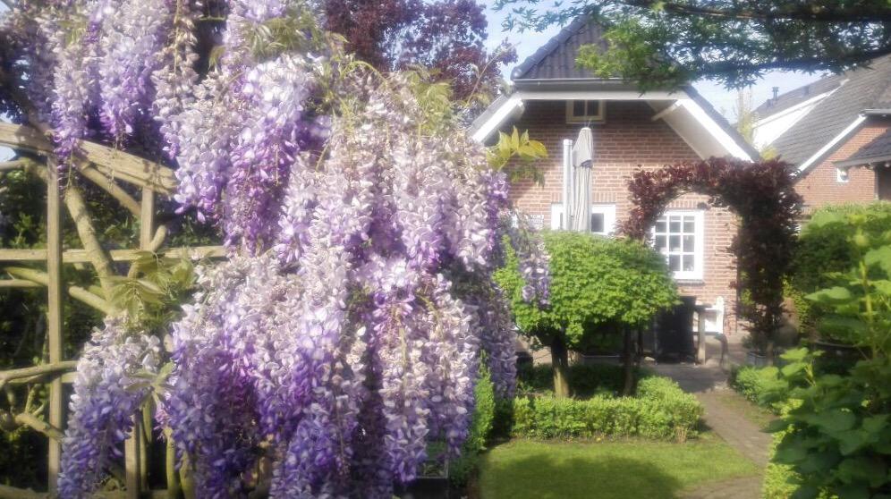 BoxTreeCottage's tweet photo. Lente! 🌸🌼🌺 
#bedandbreakfast #Limburg http://t.co/lBSeGEJ03J