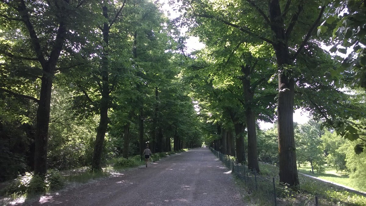 Marcella Rinaldo tweet media