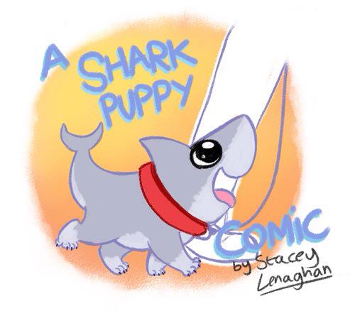 FictionalKarma's tweet photo. @MaxGeorge follow me for a SharkPuppy ๐ #maxmonday #followfrommax http://t.co/IZuconI2iE