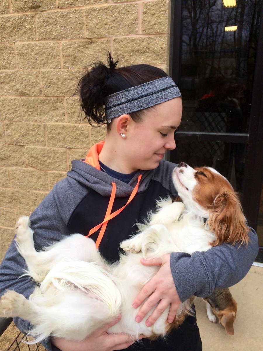 Club_Pooche's tweet photo. "A dog will teach you unconditional love."
http://t.co/n3ko9qdM3h #HappyMonday #HoCoDogs http://t.co/3mHUtZjnps