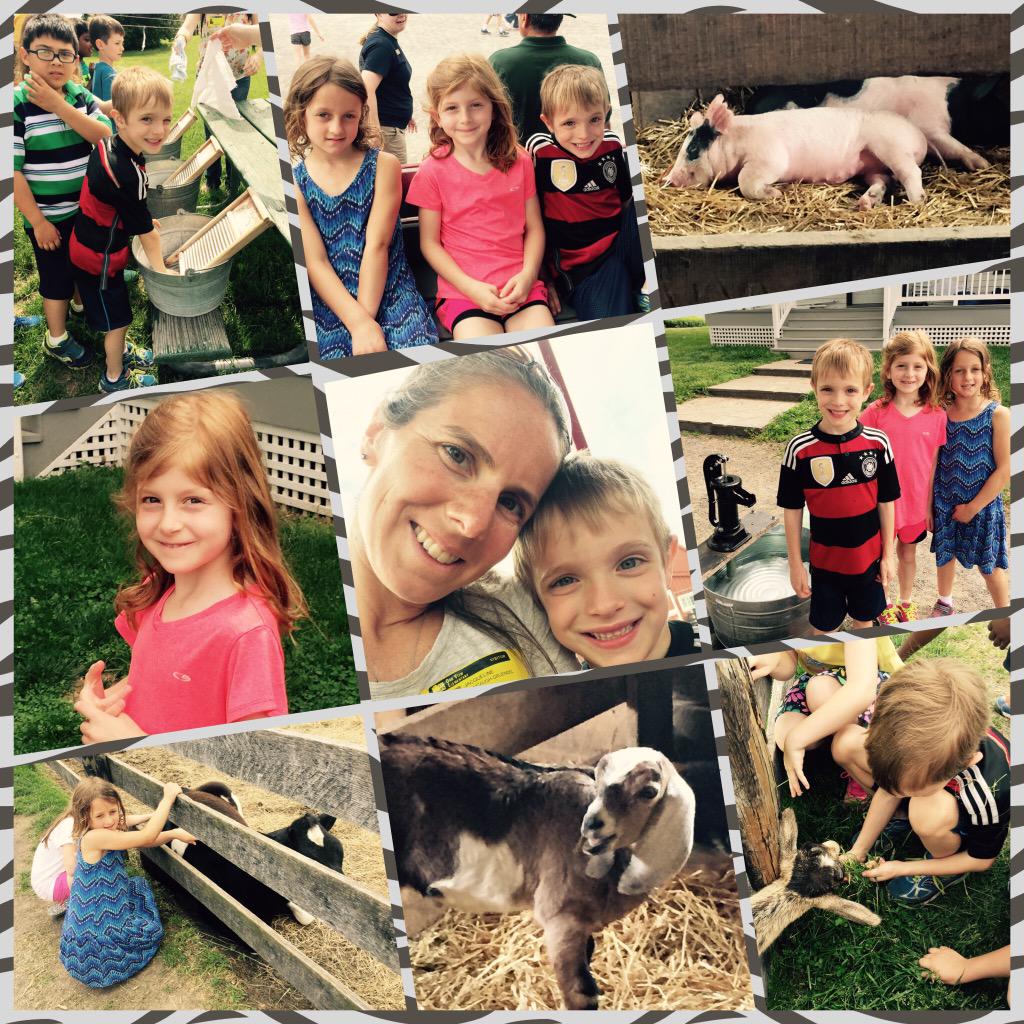 JackieGruendel's tweet photo. It was a fun field trip with @hutzeloves 1st grade class to #fryingpanpark. The kids were all smiles. #cutepiglets http://t.co/Ogmv76Aufw