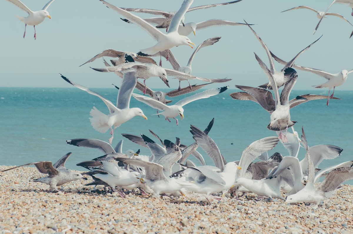 ElinaBambeana's tweet image. elina-photography.com