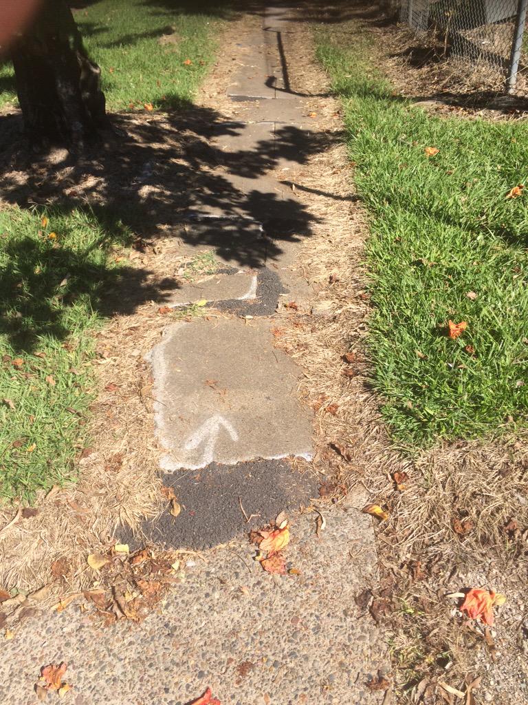 Steve Griffiths tweet media