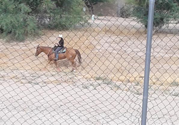 OneOldBroad's tweet image. View from our backyard this afternoon...