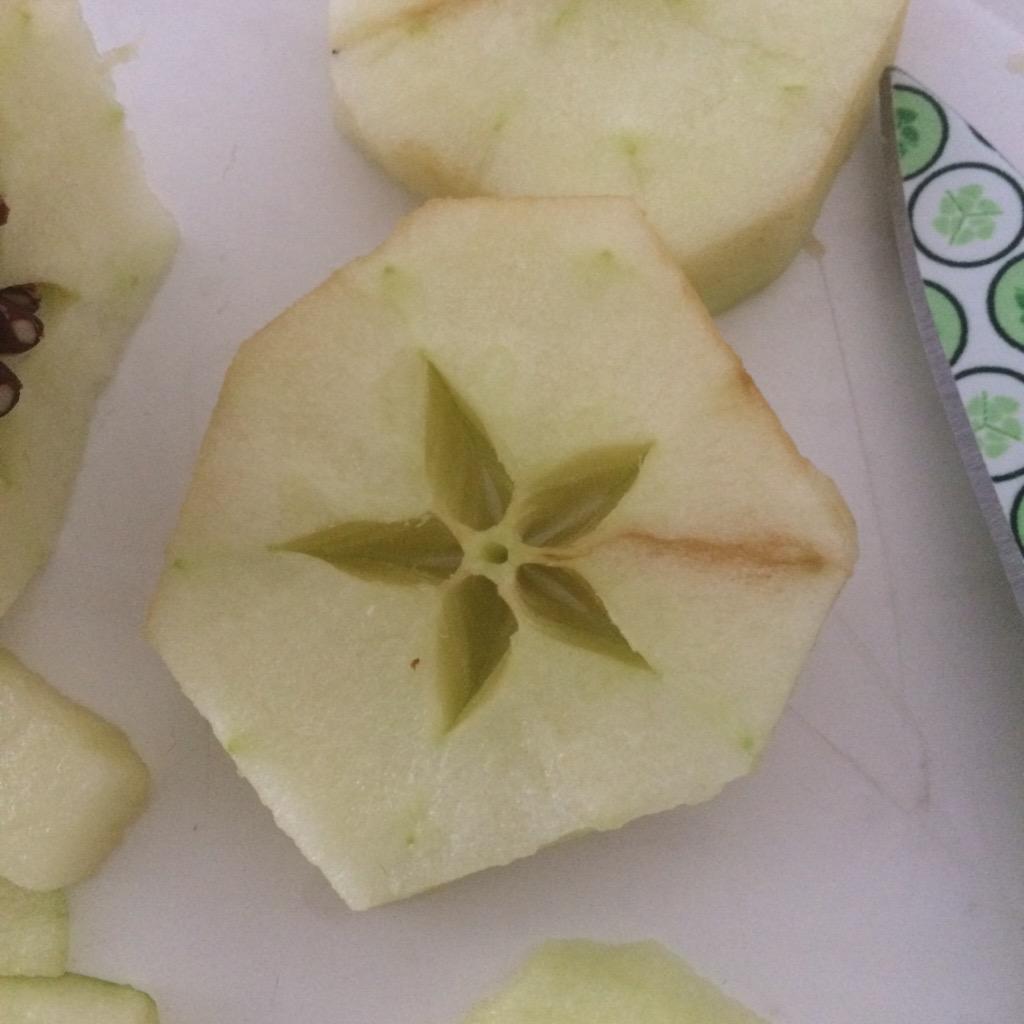 amyinlights's tweet photo. My apple knows I'm a star http://t.co/YpBbHzFiCx