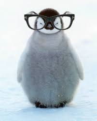 BandAngels13's tweet image. 