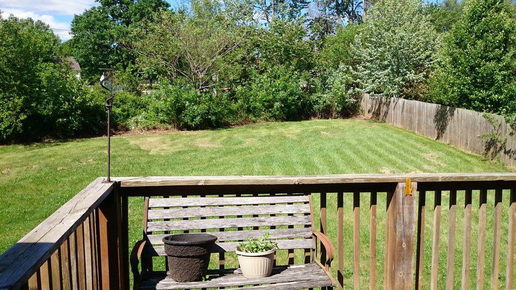 cindyeschott's tweet photo. Finally trying to mow the jungle. http://t.co/oStnosCYYq