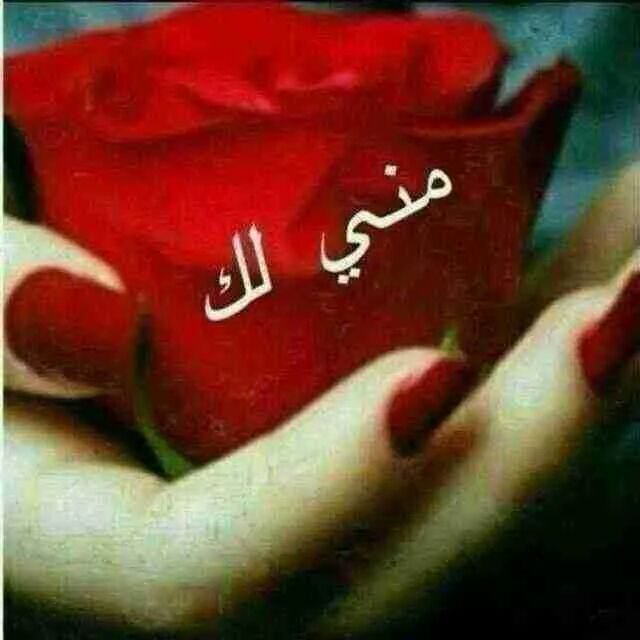 AliJabl tweet picture