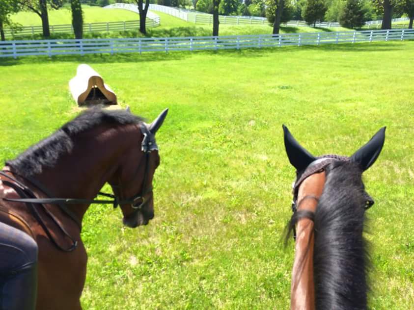 Not a bad country to be stranded in!! #stolenpassport