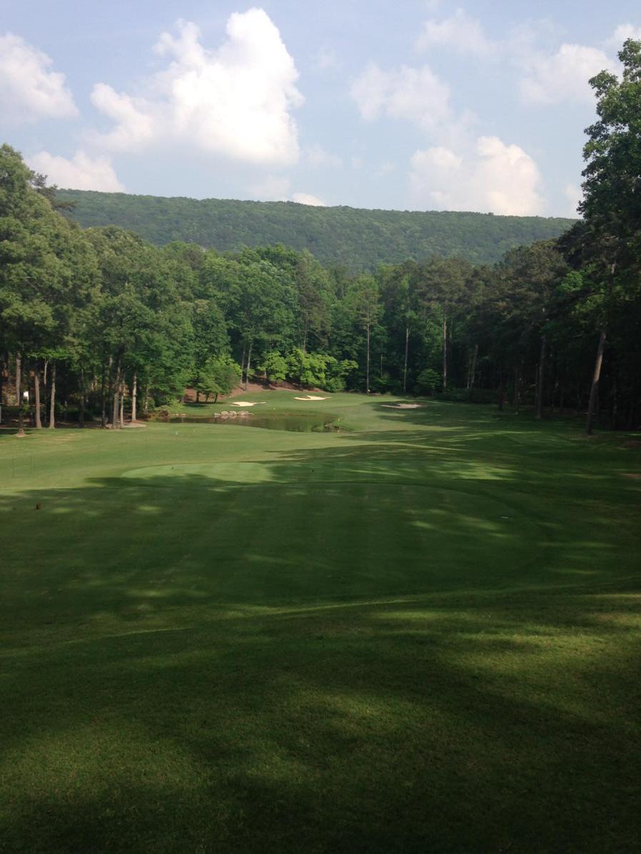 Joe Durant tweet media