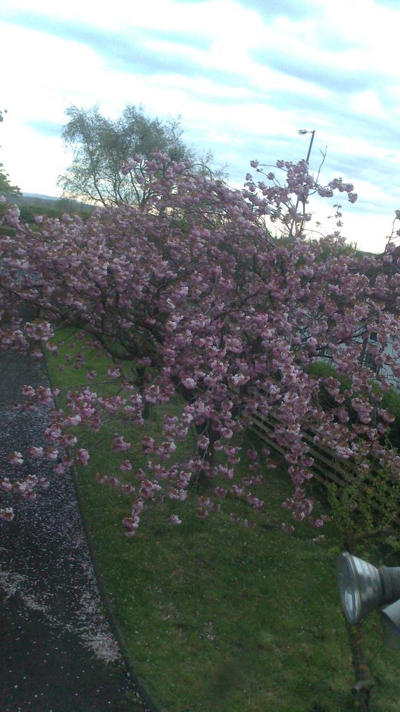 Lets have a repeat performance <a href="/FarmersMarketIB/">IB Farmers Market</a> this Saturday on the 16/5/15. <3