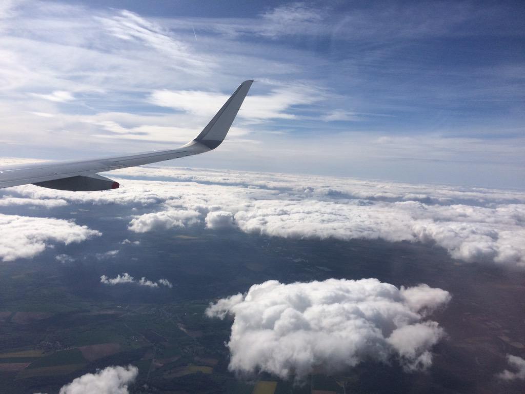 Bruno ROIFF tweet media