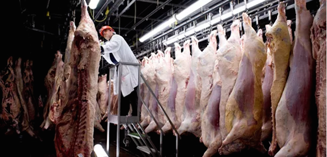 EspinalLab's tweet image. America's Food Safety System Will Make Your Stomach… dlvr.it/9mbG44 #gross #foodsafety #retroreport #ecoli