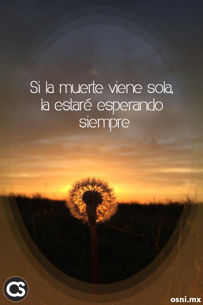 OSNI_mx's tweet photo. Si la muerte viene sola... #FilosfíaOSNI #FraseDelDía #YourNewSkin http://t.co/fi8K46hb5i