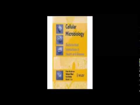 download biocatalysis: fundamentals and