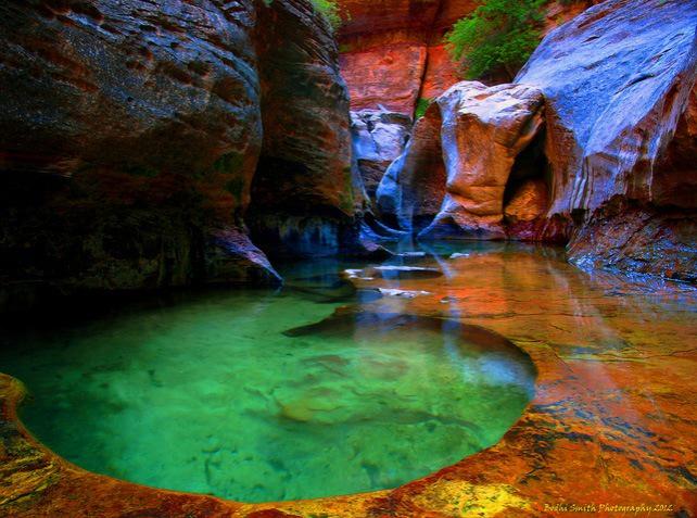 NatureDiscovere's tweet image. Subway in Zion National Park