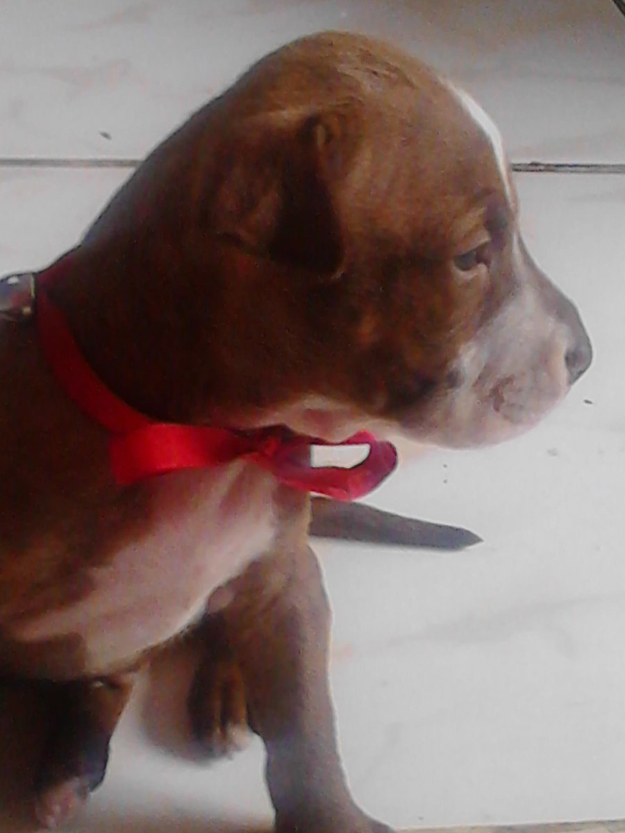 MeliByOriflame's tweet photo. #EUPDEREGRESO Munrra apoyando al equipo rojo.. http://t.co/e222CBYV2U