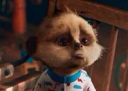 StumblerTop's tweet photo. when you see nice clothes but you don't have any money. http://t.co/Gt6hG9lB0F