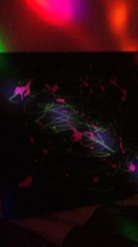 mickeygermanott's tweet photo. Oh oh creo que @AlienDeLuna  me dejo un recuerdito su semen ^-^  @mujerlunabella  semen de alien jajaja #nochepasión http://t.co/LqXsHRdiil