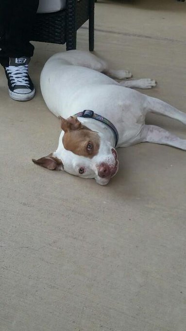 Muhm, yur nue tatu luks so kool. http://t.co/JXXqfXQUvP