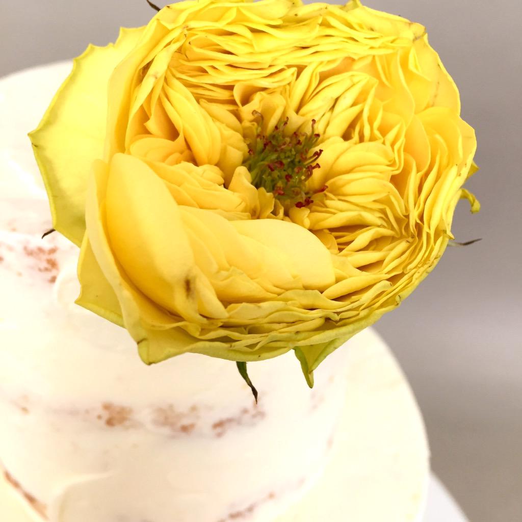 SainteGCake's tweet photo. Love these garden roses @ChurchStFlowers! http://t.co/6Oo8hB0kgq