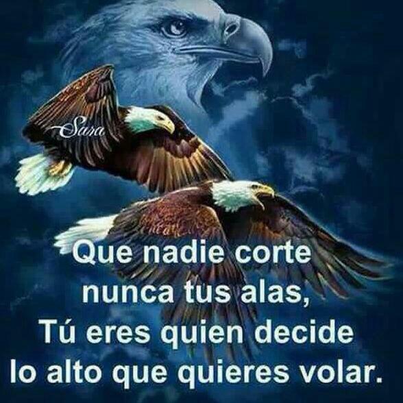 VgpSanto's tweet photo. Puestos los ojos en Jesús, el autor y consumador de la fe, el cual por el gozo puesto delante de él .Hebreos 12:2-3 http://t.co/IEXrDpTpQB