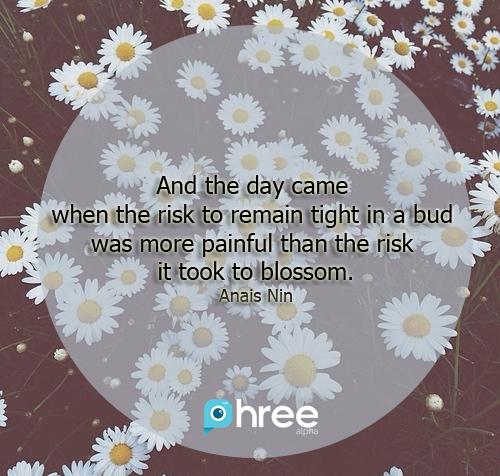 phreeapp's tweet image. blossom..,