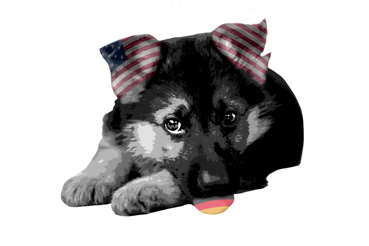 WikiLeaks tweet media