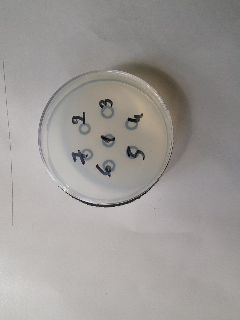 SVTSugerTab3's tweet photo. Puis numéroté les différents puits à crée #TweeteTsvt #Ts http://t.co/CYWy6MWGJd